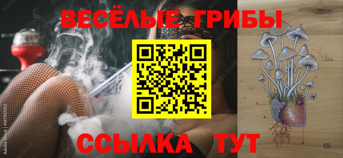 Псилоцибиновые грибы GOLDEN TEACHER  Вход с VPN  Саяногорск  Галлюциногенные грибы Psilocybe 